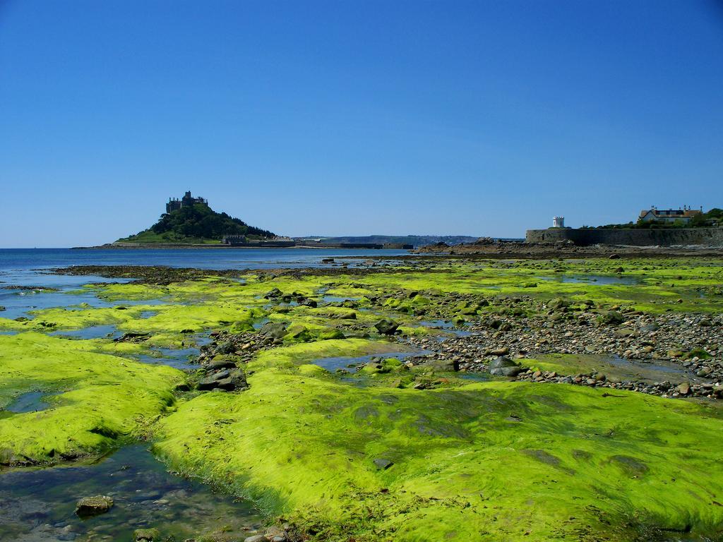 Wheal Rodney Holiday Park مرزيون الغرفة الصورة